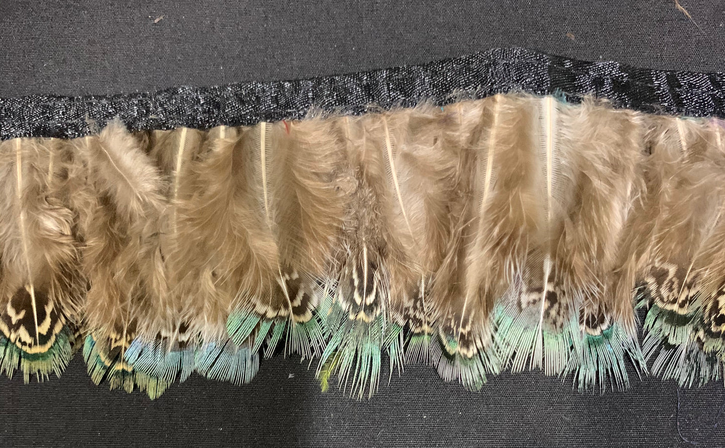 Brown & Light Blue Pheasant Feathers