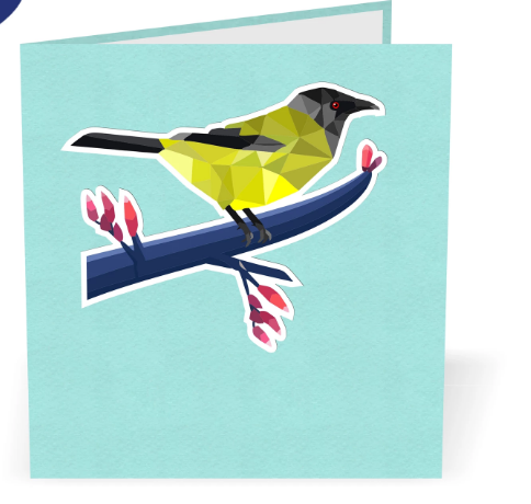 Korimako 3D - Pop Up Cards