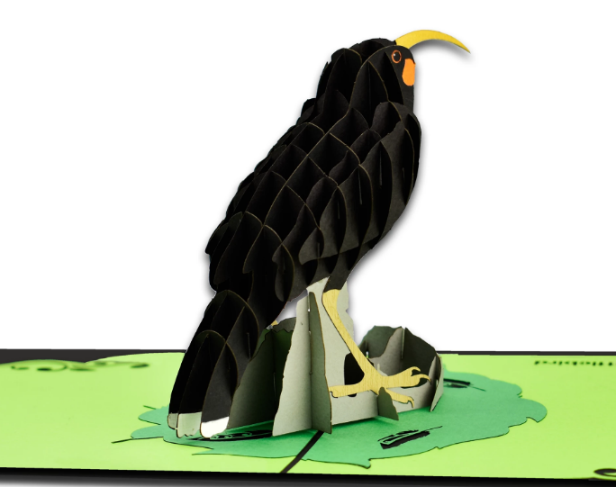 Huia 3D - Pop Up Cards