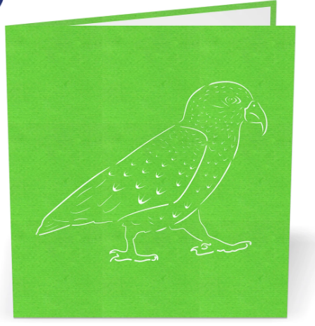 Kea 3D - Pop Up Cards