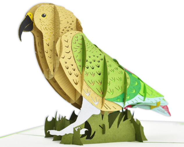 Kea 3D - Pop Up Cards