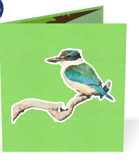 Kingfisher 'Kotare' 3D - Pop Up Cards