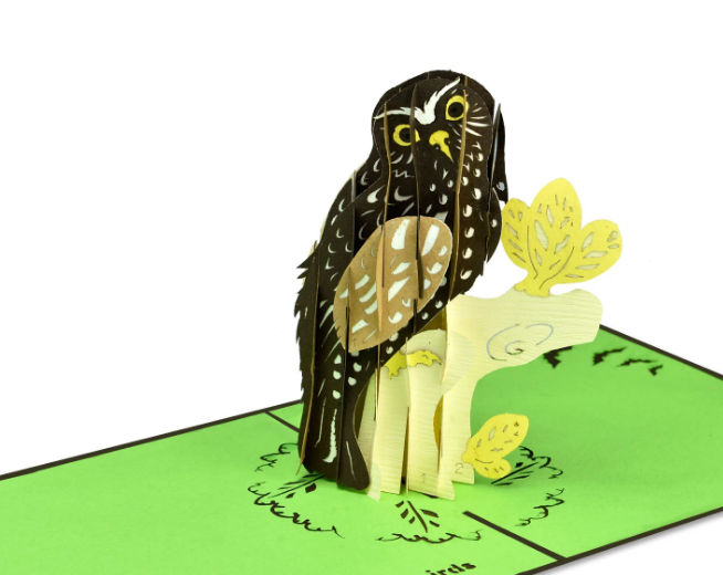 Morepork in Tree 3D - Pop Up Cards