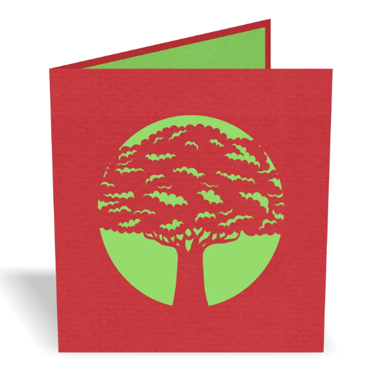 Small Pohutukawa 3D - Pop Up Cards