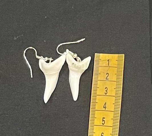 Real Mako Shark Teeth Earrings - No 4