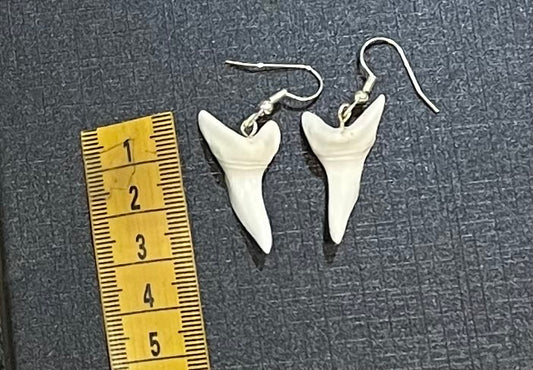 Real Mako Shark Teeth Earrings - No17