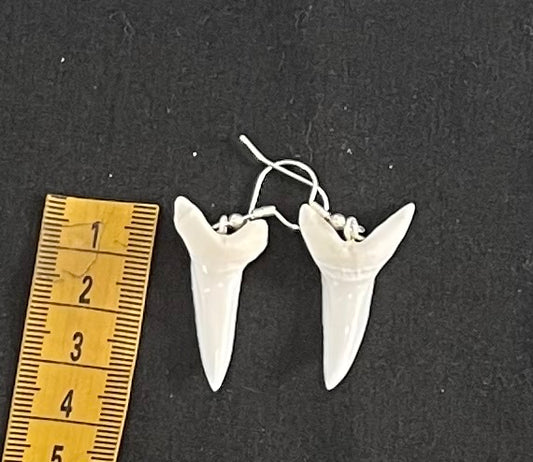 Real Mako Shark Teeth Earrings - No15