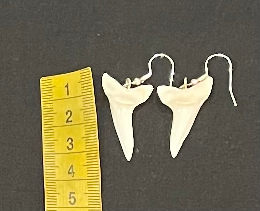 Real Mako Shark Teeth Earrings - No 14