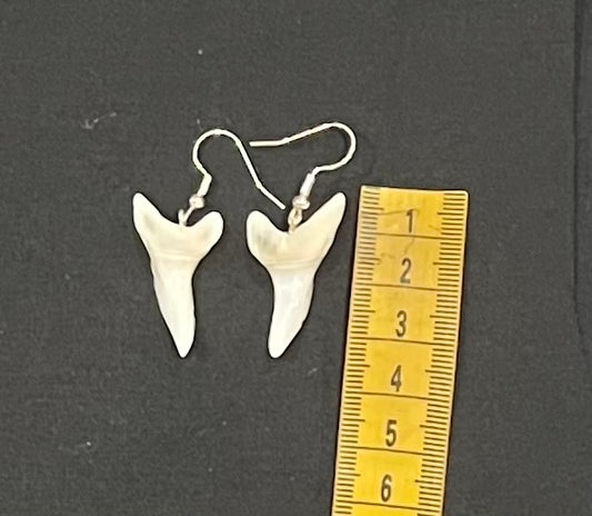 Real Mako Shark Teeth Earrings - No 6