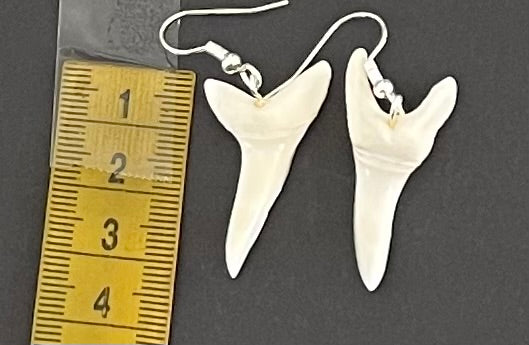 Real Mako Shark Teeth Earrings - No7