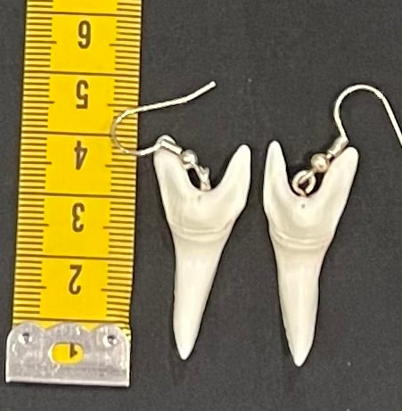 Real Mako Shark Teeth Earrings - No8