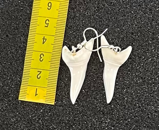 Real Mako Shark Teeth Earrings - No 3