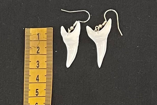 Real Mako Shark Teeth Earrings - No6