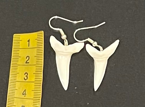 Real Mako Shark Teeth Earrings - No 20