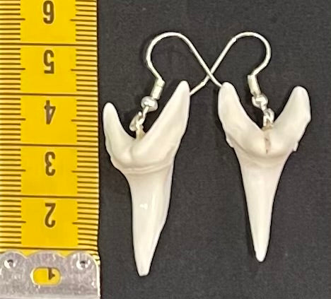 Real Mako Shark Teeth Earrings - No5