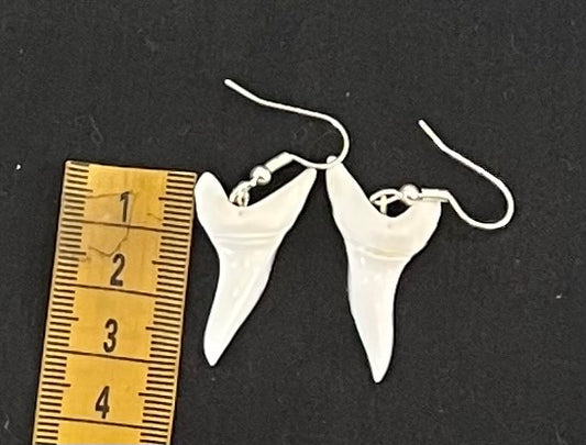 Real Mako Shark Teeth Earrings - No5