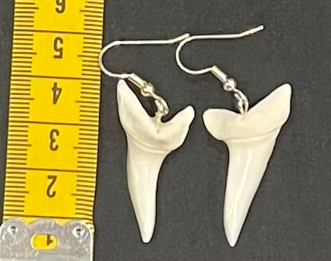 Real Mako Shark Teeth Earrings - No9