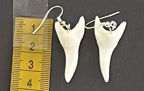 Real Mako Shark Teeth Earrings - No 21