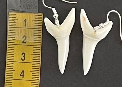 Real Mako Shark Teeth Earrings - No 22