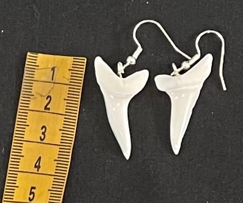 Real Mako Shark Teeth Earrings - No14