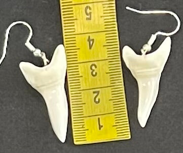 Real Mako Shark Teeth Earrings - No7