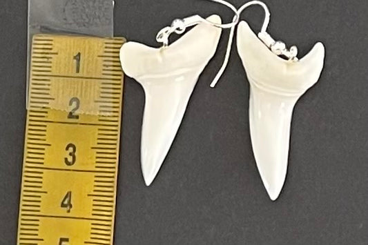 Real Mako Shark Teeth Earrings - No 4