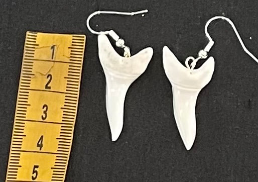 Real Mako Shark Teeth Earrings - No7