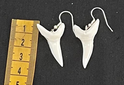 Real Mako Shark Teeth Earrings - No8