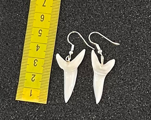 Real Mako Shark Teeth Earrings - No7