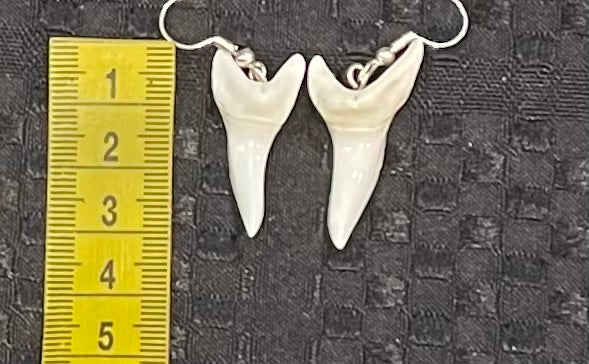 Real Mako Shark Teeth Earrings - No6