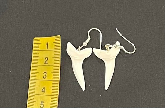 Real Mako Shark Teeth Earrings - No 19