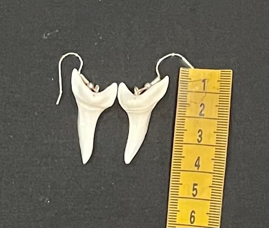 Real Mako Shark Teeth Earrings - No 8