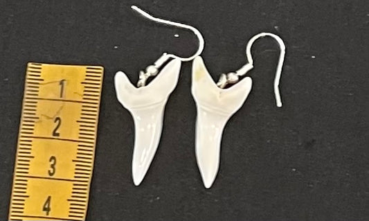 Real Mako Shark Teeth Earrings - No9