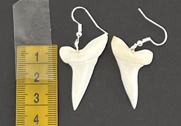 Real Mako Shark Teeth Earrings - No 3