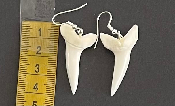 Real Mako Shark Teeth Earrings - No 26