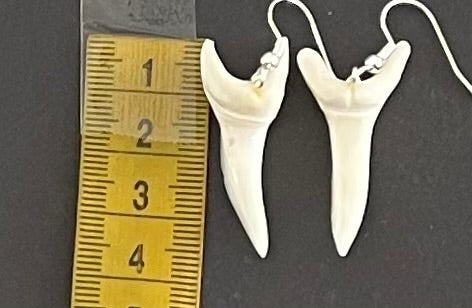 Real Mako Shark Teeth Earrings - No 18