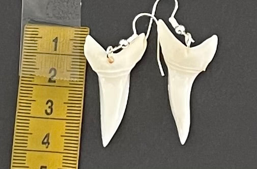 Real Mako Shark Teeth Earrings - No6