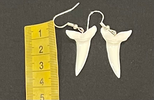 Real Mako Shark Teeth Earrings - No 13