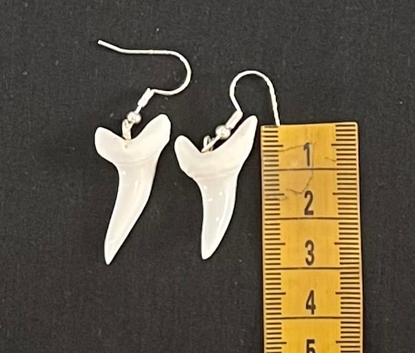 Real Mako Shark Teeth Earrings - No1