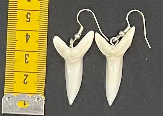 Real Mako Shark Teeth Earrings - No6