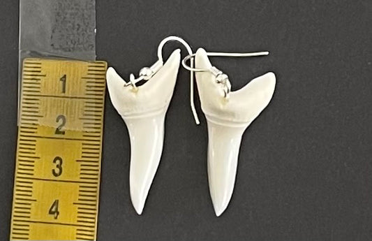 ) Real Mako Shark Teeth Earrings - No 27