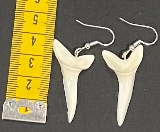 Real Mako Shark Teeth Earrings - No13