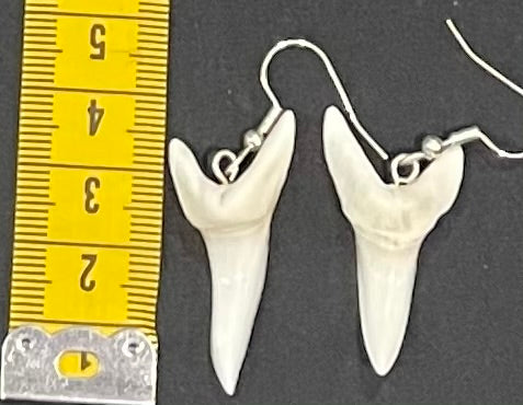 Real Mako Shark Teeth Earrings - No14