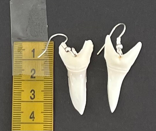 Real Mako Shark Teeth Earrings - No 2