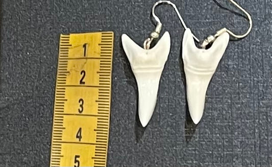 Real Mako Shark Teeth Earrings - No4