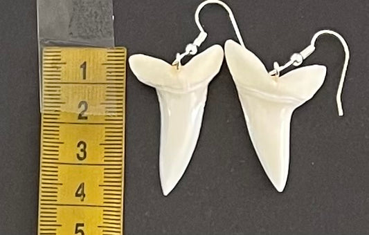 Real Mako Shark Teeth Earrings - No 19