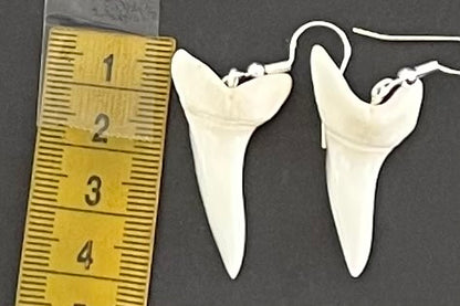 Real Mako Shark Teeth Earrings - No 11