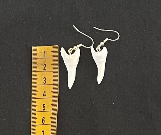 Real Mako Shark Teeth Earrings - No4