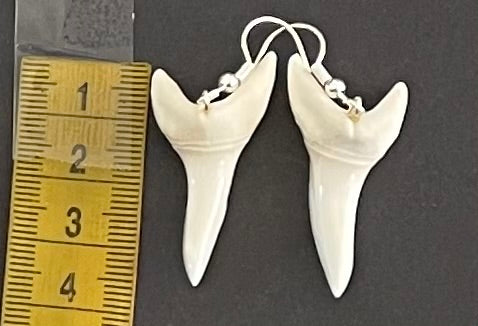 Real Mako Shark Teeth Earrings - No 23