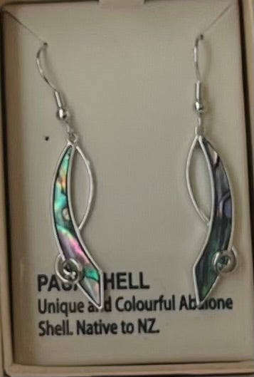 Paua Drop Earrings